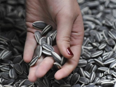 Những lý do sau đã đủ để bạn thấy vì sao nên chăm chỉ ăn hạt hướng dương-4