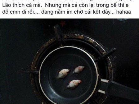 Cô vợ với chiêu độc trị chồng và màn đáp trả cực ngầu của anh chồng bá đạo