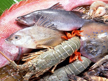 Cách giữ hải sản biển tươi ngon đến 3 ngày không cần tủ lạnh