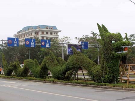 Hải Phòng: