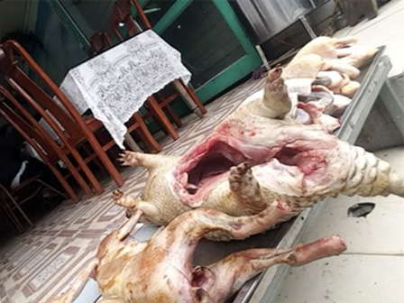 Thực hư câu chuyện khách du lịch bị gài bẫy vì ham của lạ ở Sa Pa-3