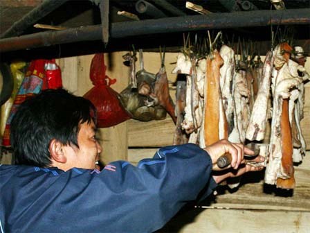 Nơi cả bản thích thành “trộm” đêm Giao thừa