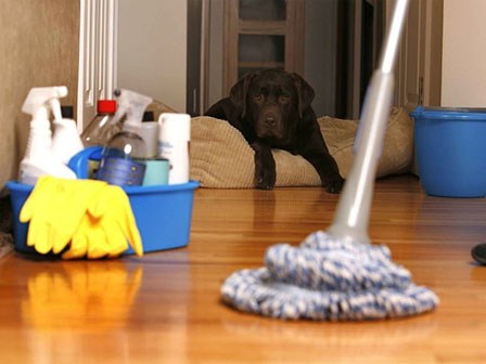 Vạch mặt 9 thủ phạm bào mòn sức khỏe cả gia đình: Có thể bạn không biết nên mới vô tư dùng