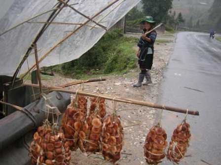 Giá gần 10 triệu đồng/kg, nấm hương Nhật được bà nội trợ Việt săn lùng-4