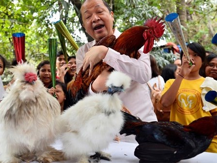 Quan niệm về năm Đinh Dậu 2017 trong văn hóa phương Đông