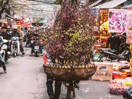 Đàn ông ly hôn, Tết đến mới thấm thía hai tiếng gia đình