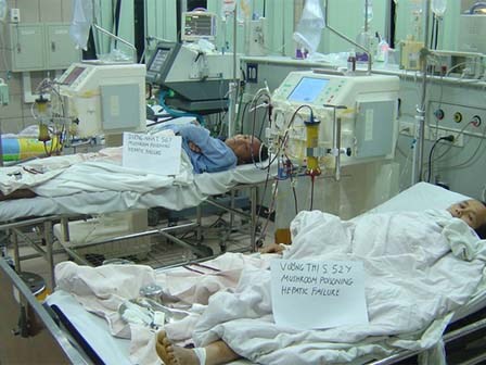 Cả gia đình thuê trực thăng nhập viện Bạch Mai cấp cứu vì ngộ độc nấm rừng