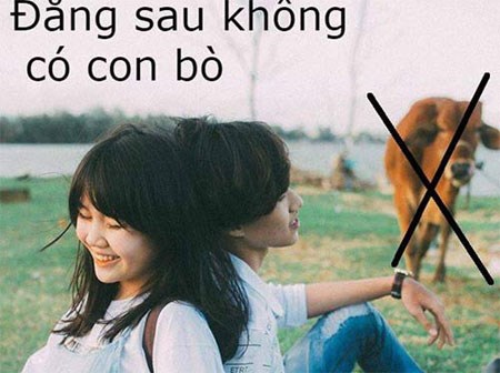 Cặp đôi lên mạng nhờ 