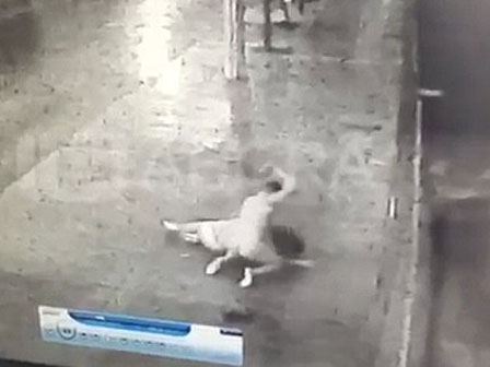 Nam diễn viên Hàn ngáo đá, la hét và lao qua hàng rào giữa đường-3