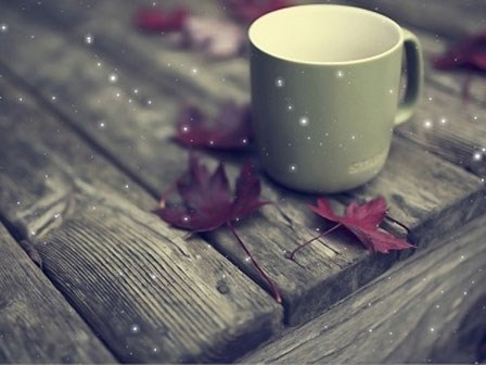 Tử vi mới nhất thứ Sáu ngày 17/2/2017 của 12 cung hoàng đạo