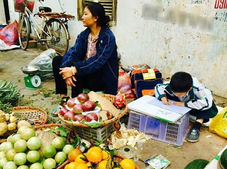 Bức ảnh con trai cặm cụi viết bài bên hàng trái cây mưu sinh của mẹ khiến dân mạng dậy sóng