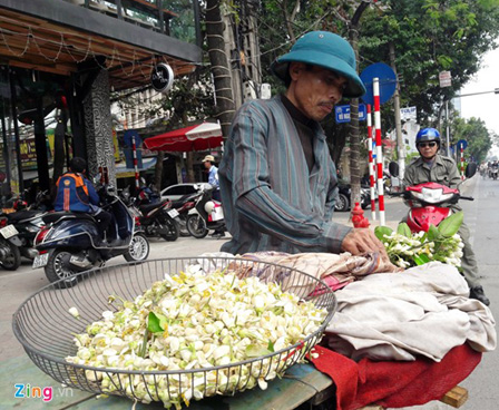 Gần 100.000 đồng/kg mơ xanh đầu mùa-3