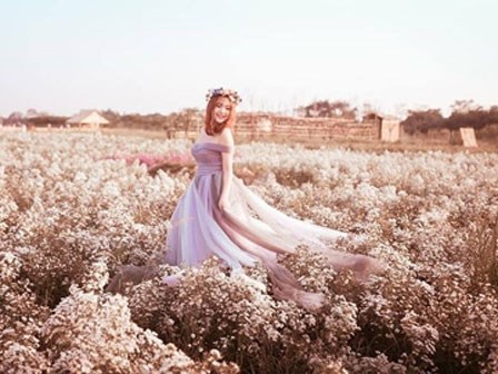 Tử vi mới nhất thứ Sáu ngày 24/2/2017 của 12 cung hoàng đạo