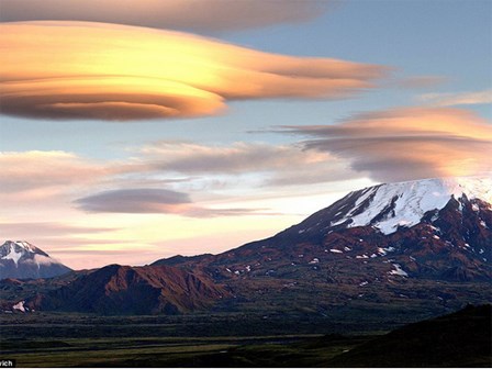 Ngây ngất với những chiếc