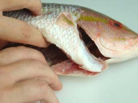 Những loại thịt ngon nhưng nội tạng chứa độc chết người