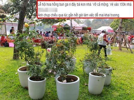 Lễ hội hoa hồng Bulgaria ở Hà Nội: Thất vọng khi thực tế khác xa hình ảnh quảng cáo