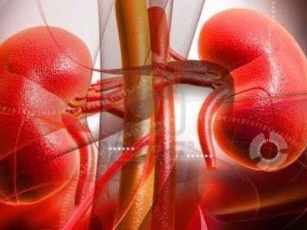 Bệnh viêm cầu thận khiến 2 học sinh ở Nghệ An tử vong nguy hiểm như thế nào?