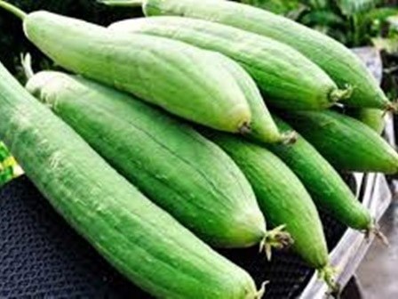 Vì sao người xưa luôn khuyên chúng ta nên dùng mướp thường xuyên?