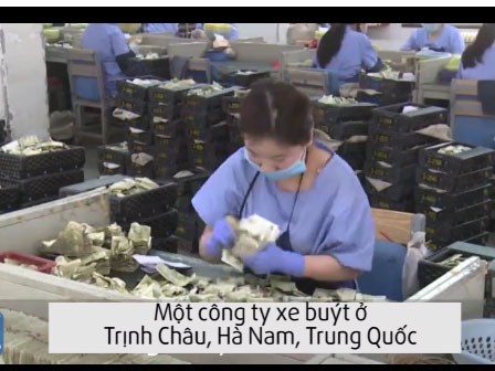 Nữ nhân viên đếm tiền nhanh như máy