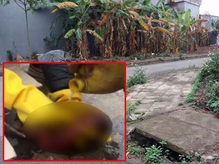 Thai nhi xấu số còn nguyên dây rốn bị chó cắp xác chạy trên vỉa hè