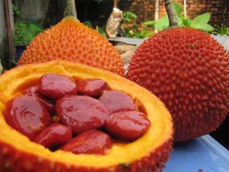 8 siêu thực phẩm ngăn ngừa ung thư tốt hơn ‘thần dược’
