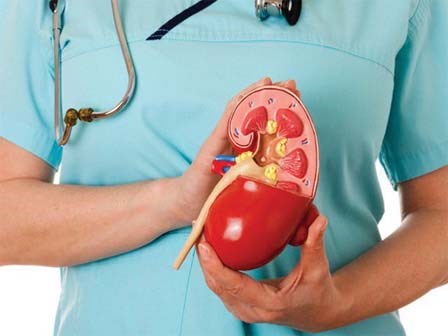 Những cách đơn giản giúp làm tan các hạt sỏi thận ngay tại nhà