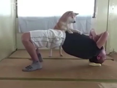 Huấn luyện viên chó cực nhiệt tình 
