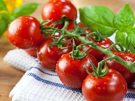 Điều kỳ tích khi lấy 3 quả cà chua chín chà lên mặt mỗi tuần