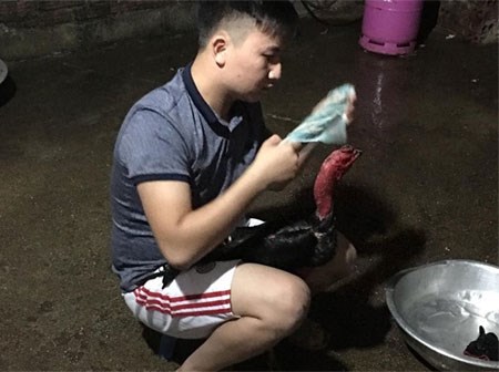 Chết cười vợ trẻ ghen tỵ với