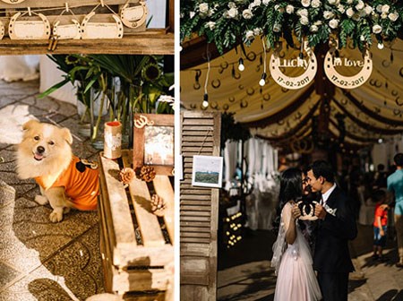 Chuyện tình cặp đôi yêu một thập kỷ đem gỗ, rơm, lá vào ảnh tiệc cưới