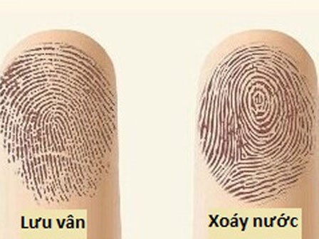 Số lượng hoa tay nói gì về con người, cuộc đời của bạn?