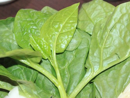 Ăn rau mồng tơi trong 2 ngày bạn sẽ thấy điều “thần kỳ” xảy ra