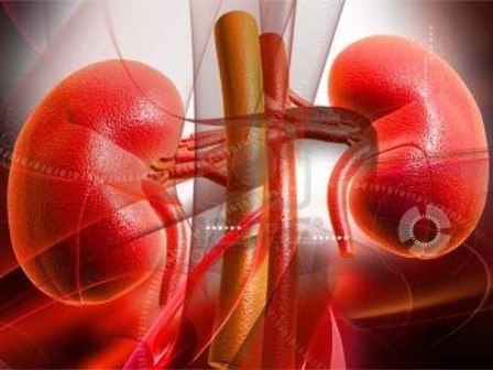 7 lý do bạn cần detox thận bằng việc ăn và uống những thực phẩm, đồ uống dưới đây