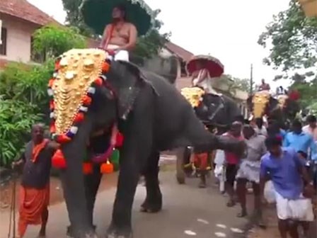 Cáu quá, chú voi giơ chân đá bay người đàn ông phía sau mình