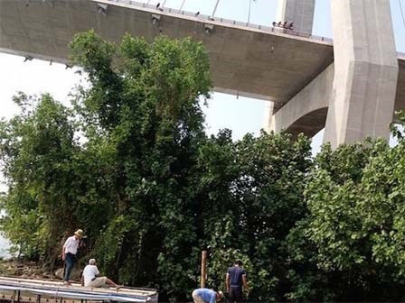 Vợ ngất xỉu khi chứng kiến chồng nhảy cầu Cần Thơ tự tử