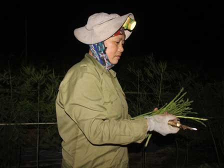 Loại rau 4 mùa mới có 1 lần, đắt hơn vàng khách vẫn ùn ùn xếp hàng đợi được ăn-3