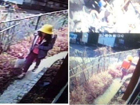 Giả thuyết ban đầu về quá trình sát hại bé gái Việt của nghi phạm