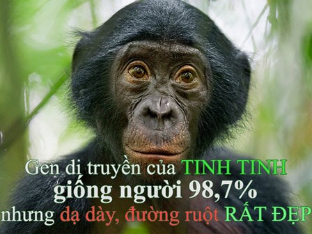 GS Nhật từng khiến thế giới kính nể chỉ ra