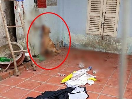 Giận hờn, nam thanh niên ở Sài Gòn tra tấn dã man chú chó của bạn để trả thù?