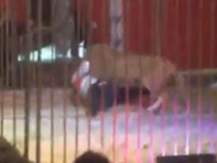 Video sốc: Sư tử ngoạm cổ, kéo lê huấn luyện viên trước sự kinh hãi của khán giả trong rạp xiếc