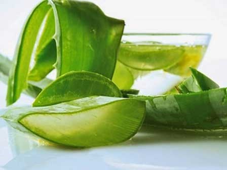 Đông đá nha đam rồi chà lên mặt mỗi ngày da đen bẩm sinh cũng phải bật lên 2 - 3 tone