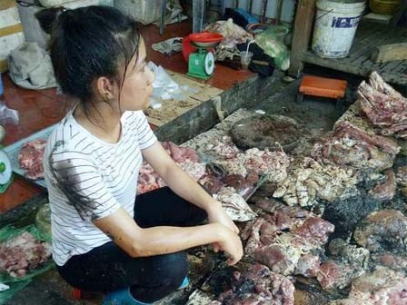 Phẫn nộ clip người phụ nữ bị hắt dầu luyn trộn chất thải khắp sạp thịt chỉ vì bán thịt lợn giá rẻ