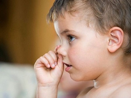 Ăn gỉ mũi tốt cho sức khoẻ