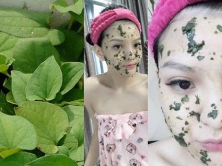 Công dụng chữa bệnh và làm đẹp tuyệt vời của rau diếp cá rất nhiều người chưa biết