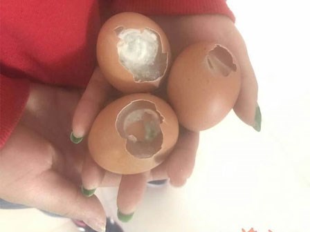 Trường mầm non nấu trứng thối, hạt đậu mốc, gia vị hỏng cho học sinh ăn gây bức xúc