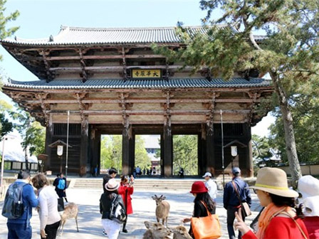 Cả làng ‘du lịch’ sang Thái, mang USD về xây biệt thự-4