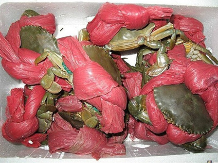 1,4kg cua thì 7 lạng dây, đây đích thị là giao dịch mua dây tặng cua-9