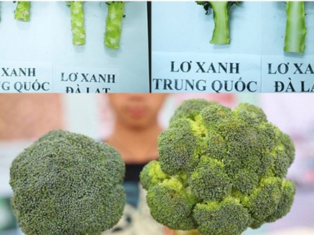 Phân biệt rau củ quả Trung Quốc và Đà Lạt