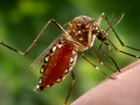 Sốt virus hoành hành, dấu hiệu nhận biết bệnh ai cũng cần biết tránh biến chứng nguy hiểm-3