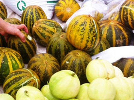 Dưa lê, dưa bở ngon bổ rẻ nhưng sợ ngâm thuốc: Chuyên gia bày cách chọn dưa an toàn